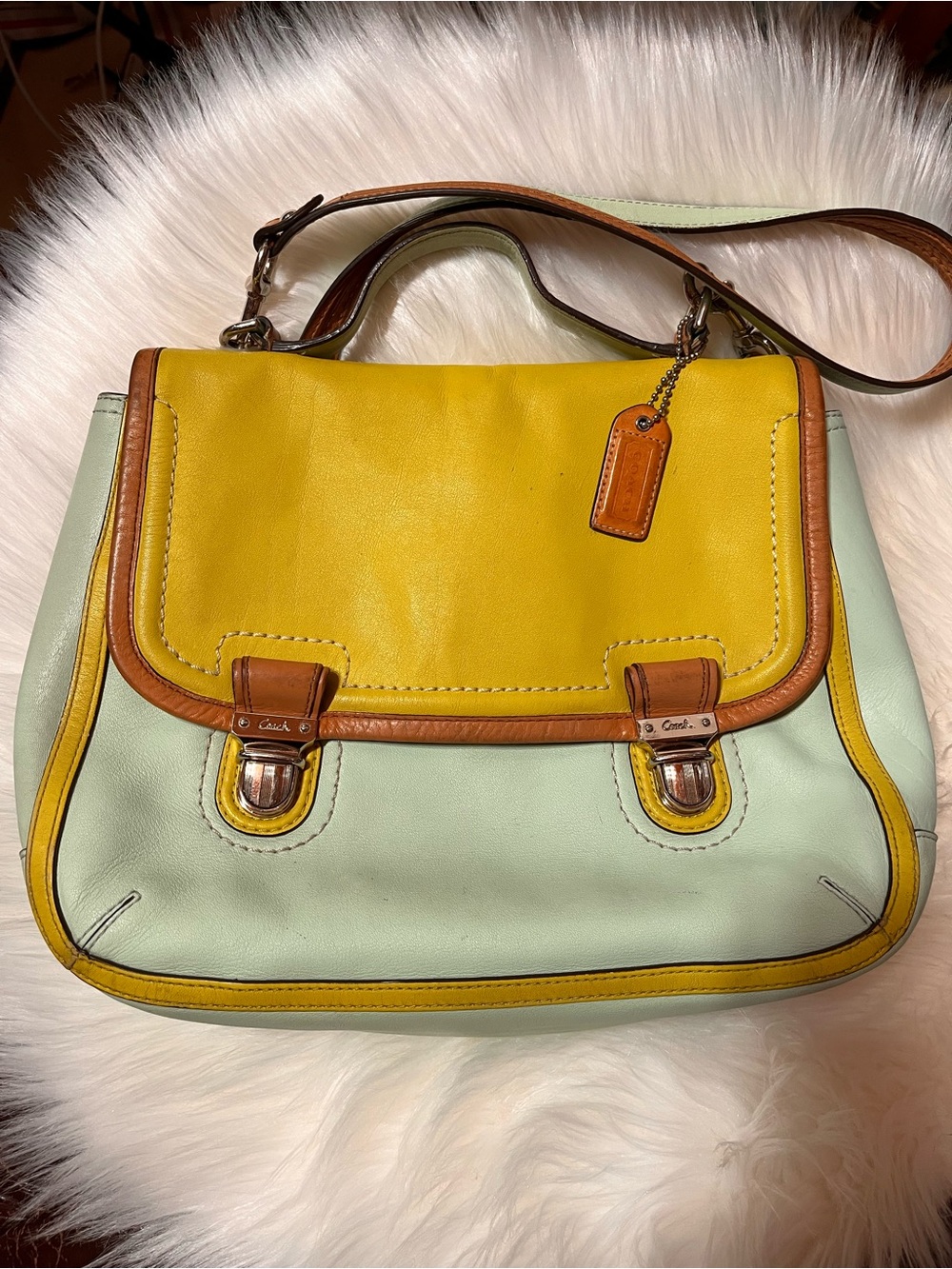 Coach Poppy Dylan Crossbody Satchel 2012